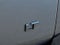 2019 Chevrolet Traverse LT Cloth w/1LT