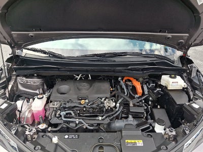 2022 Toyota Sienna XLE 7 Passenger