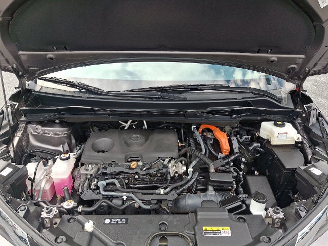 2022 Toyota Sienna XLE 7 Passenger