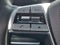 2023 Kia Telluride SX-Prestige X-Line