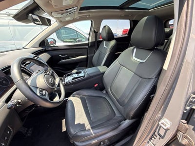 2024 Hyundai Tucson Limited